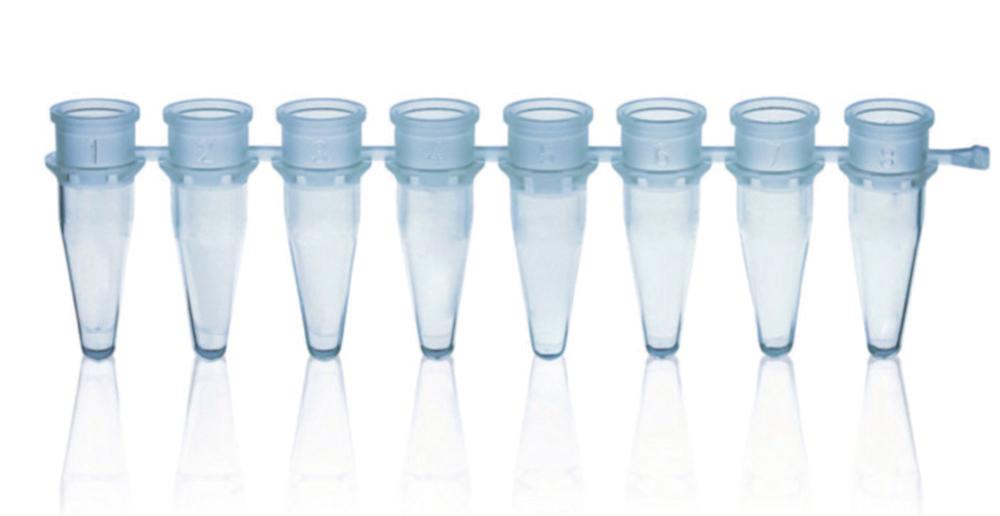 BRAND 8 PCR Tube Strips 0.2ml Blue Without Caps – Pack of 125

