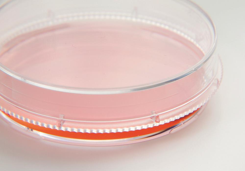 Thermo Nunc EasyDish 35 mm Nunclon Delta SI (Pack of 500)