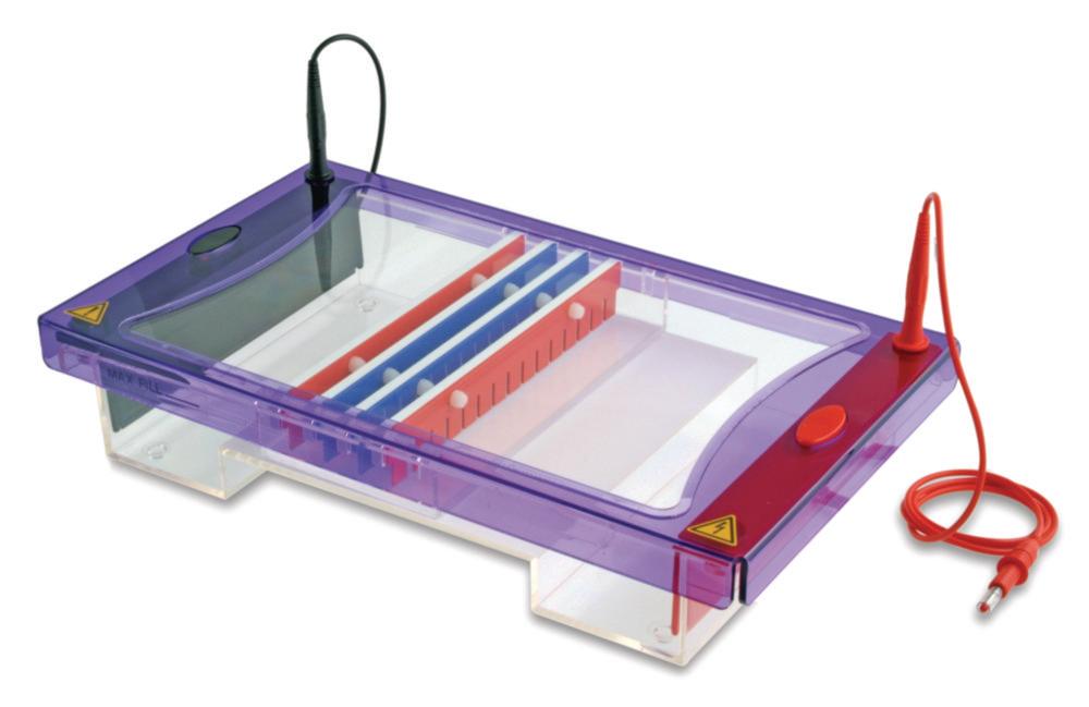 Thistle Scientific MultiSub Maxi (200x200 mm UV-Permeable Gel Carrier, 2 Combs with 20 Samples, Loading Guide, and Casting Dams)