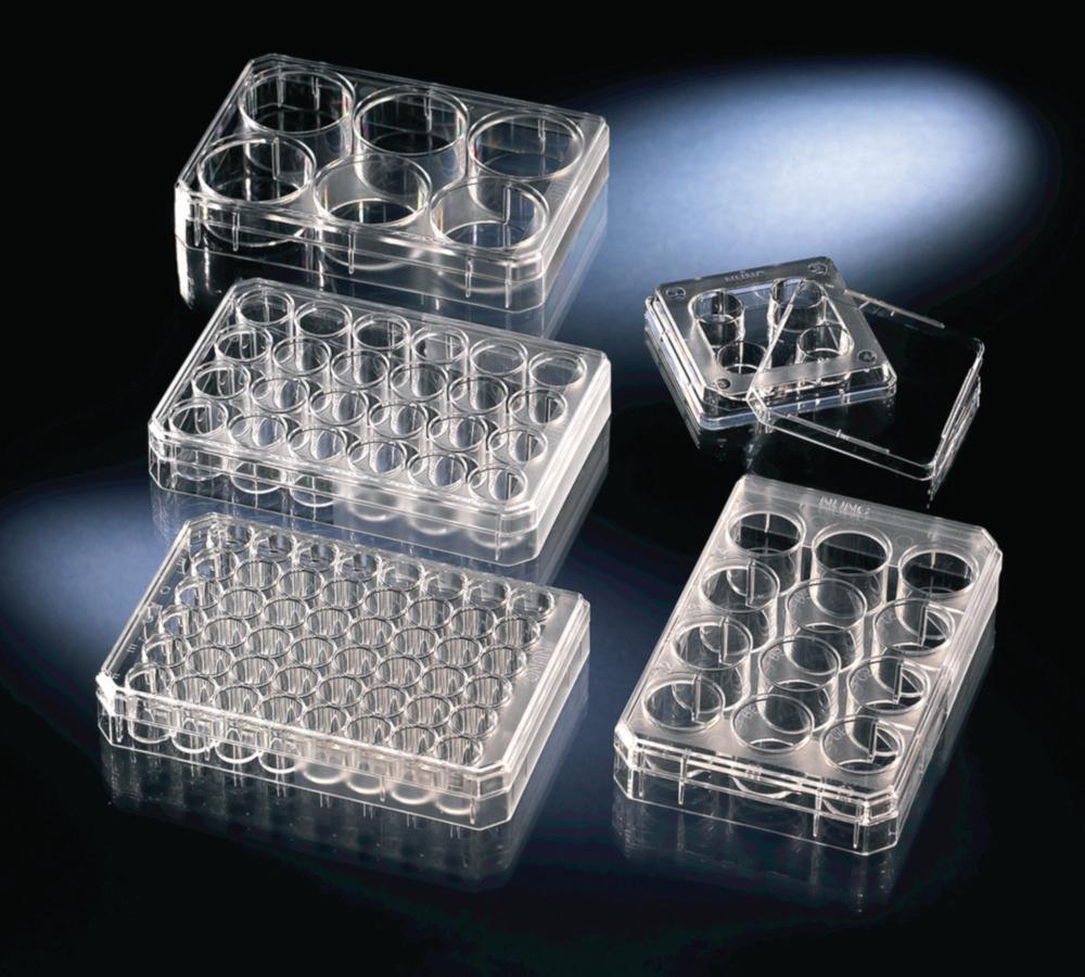 Thermo Nunc 4-Well Polystyrene (PS) Untreated Flat Multidishes with Cover, Sterile, Pack of 120
