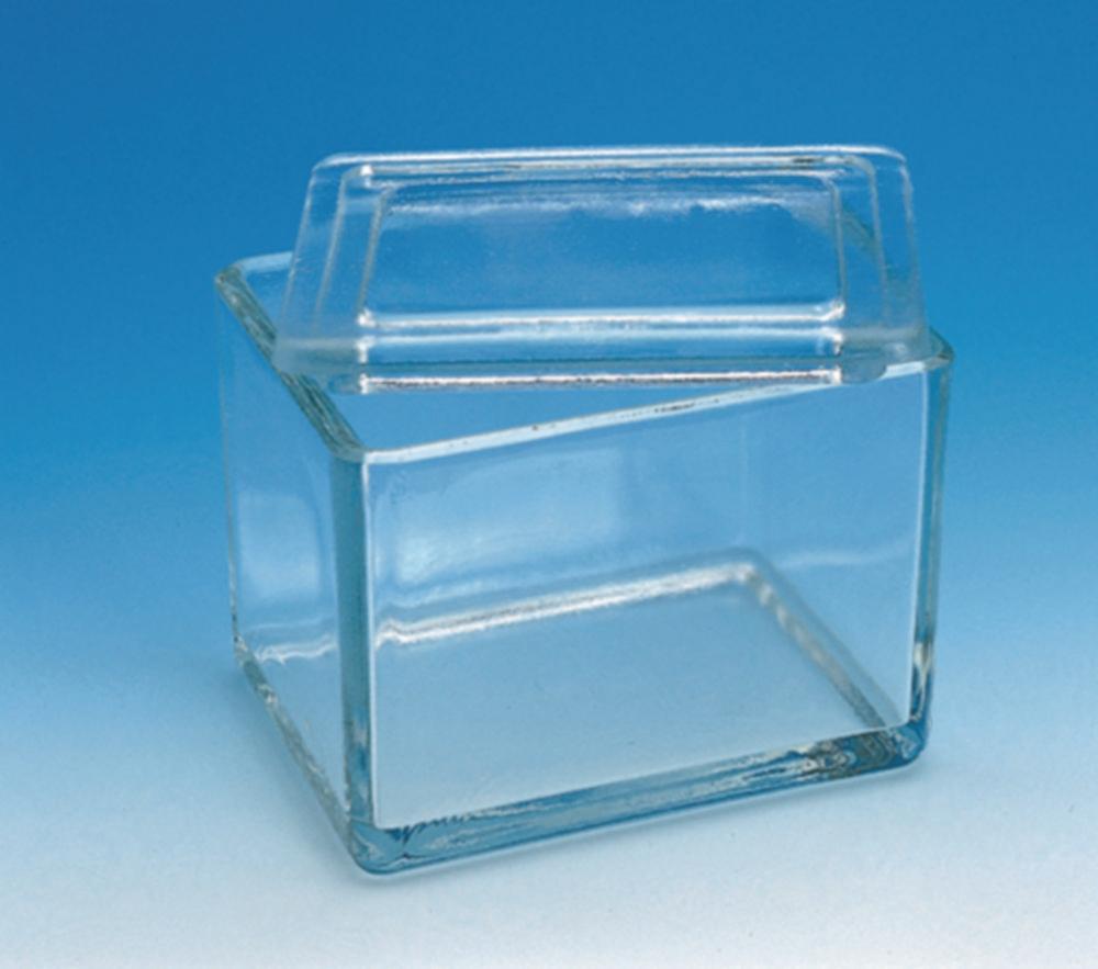 Glaswarenfabrik Glass Staining Dish (105 x 85 x 80 mm)