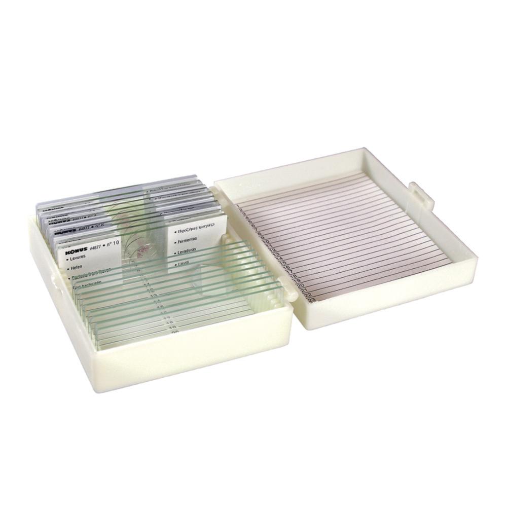 Konus Set of 10 Slides for Teaching Sciences

