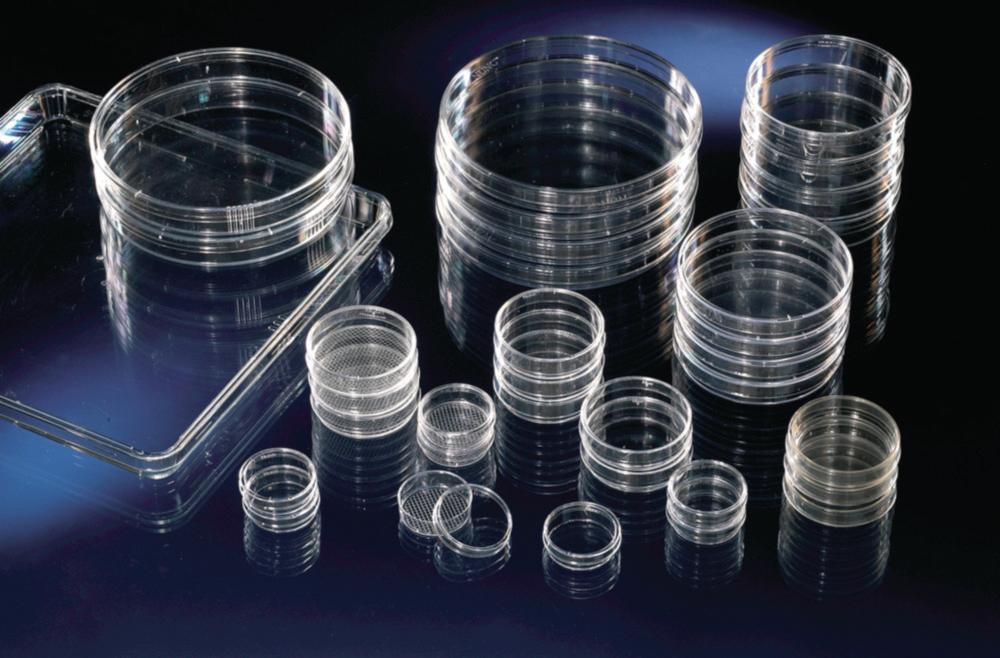 Thermo Nunc 100 mm x 20 mm Cell and Tissue Culture Plates with Vents, Nunclon Treated with Lid, Sterile, Pack of 240

