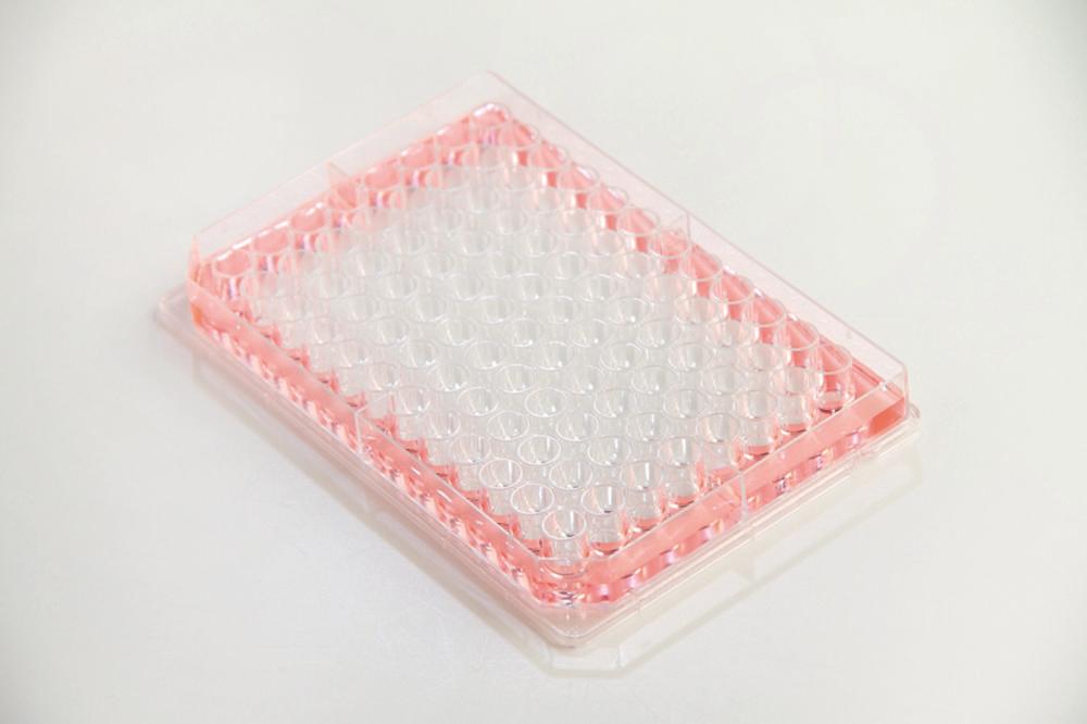 Thermo Nunc Microplates Nunc Edge 2.0 96-Well, Flat Bottom, Clear, Sterile, Without Lid, Non-Treated, Bulk Pack of 10x16