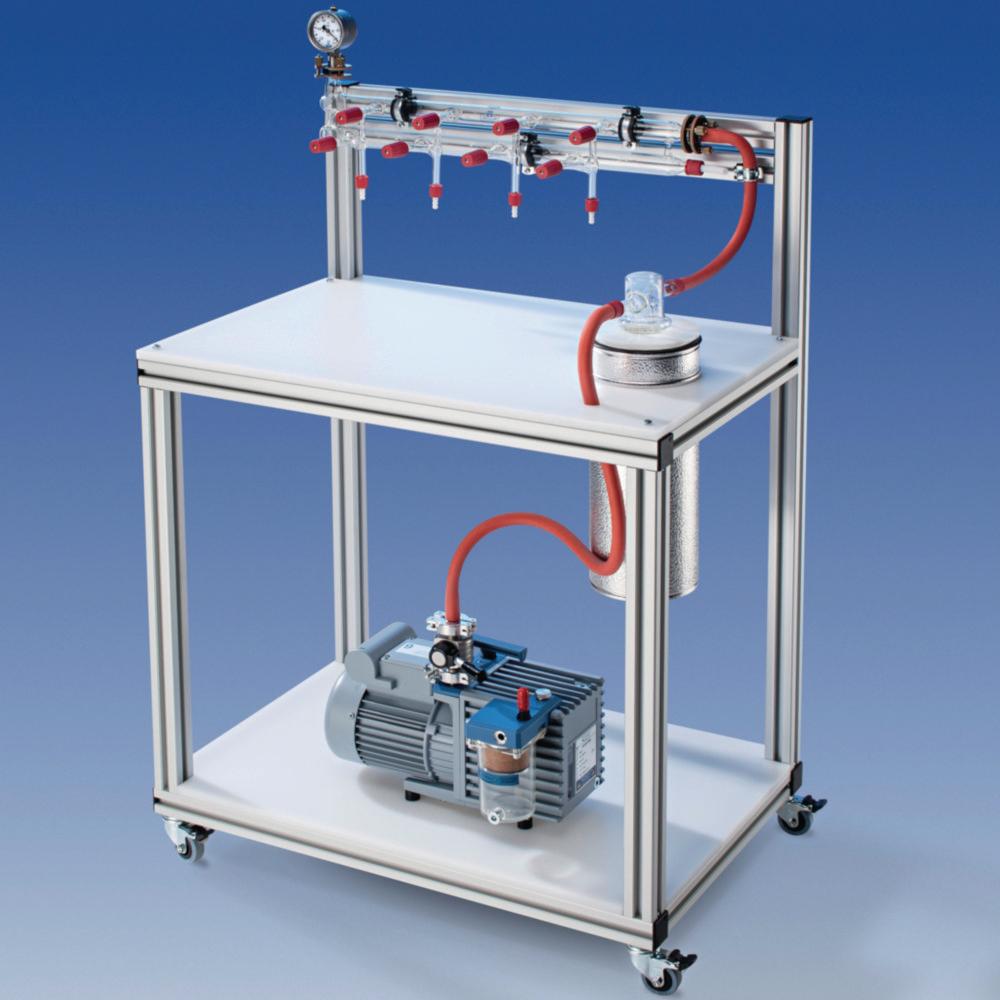 KGW Schieder Chemistry Pumping Unit GP3 with Manometer and Pump Fork with Ventilation