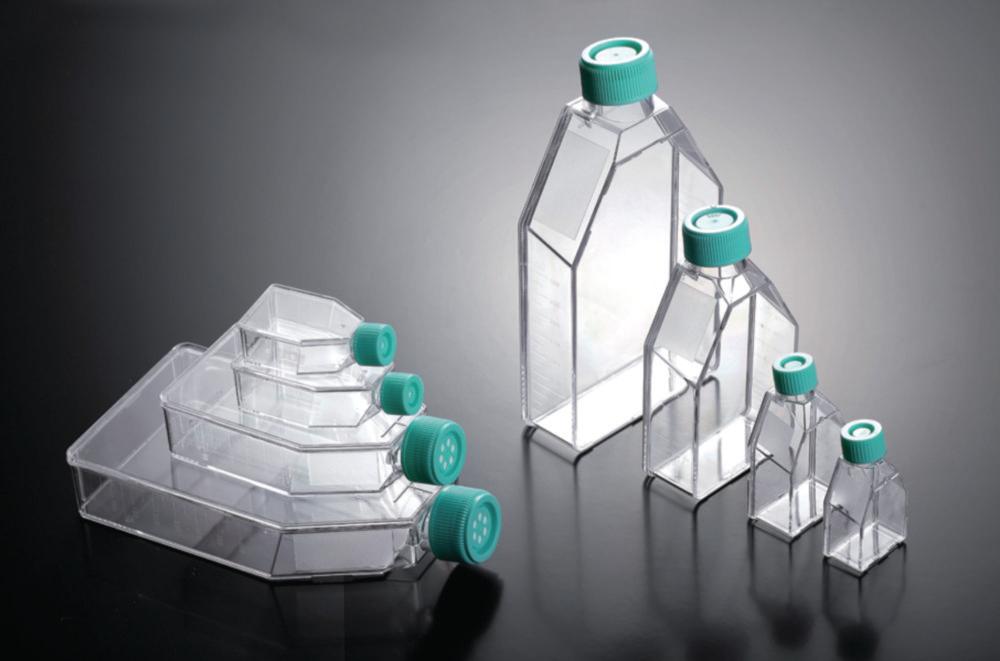 Jet Bio Filtration Tissue Culture Flasks 250 ml, PS, 75.0 cm² Treated, Sterile with Cap, Pack of 100