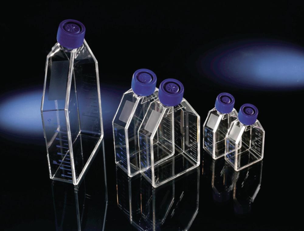 Thermo Scientific EasyFlask PS 7mL 25 cm² Poly-D-Lysine Coated Cell Culture Flasks with Filter Caps, Sterile, Pack of 60