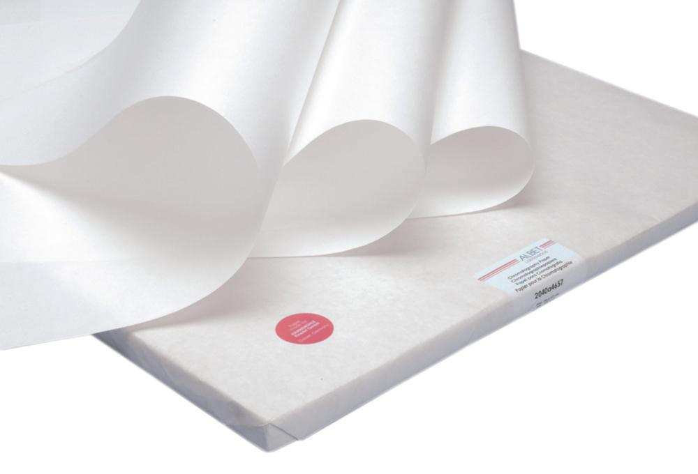 Hahnemühle Filter Paper 591, 580x580 mm Qualitative Filter Paper, 161 g/sqm, Pack of 100