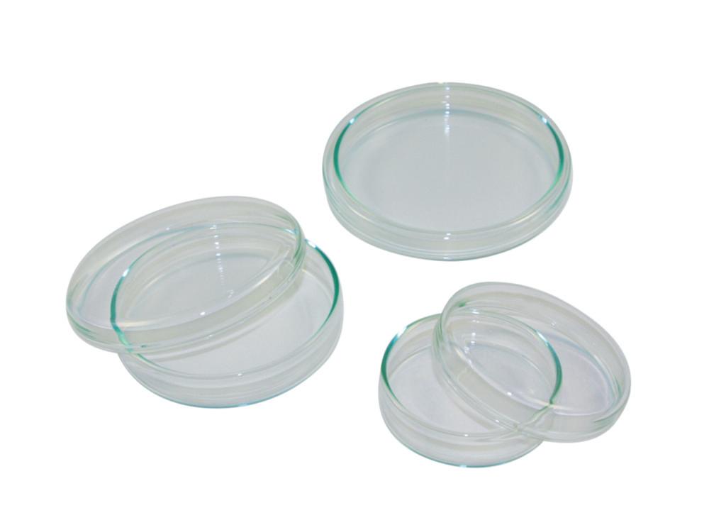 LLG Petri Dishes 20x100 mm, Glass, Pack of 10