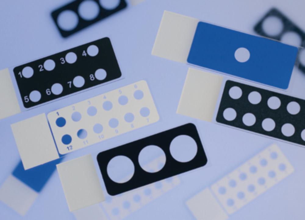 Epredia Netherlands Diagnostic Slides, 25 x 75 x 1 mm, Epoxy Coated, Blue, 1 Cavity (8 mm), Pack of 100