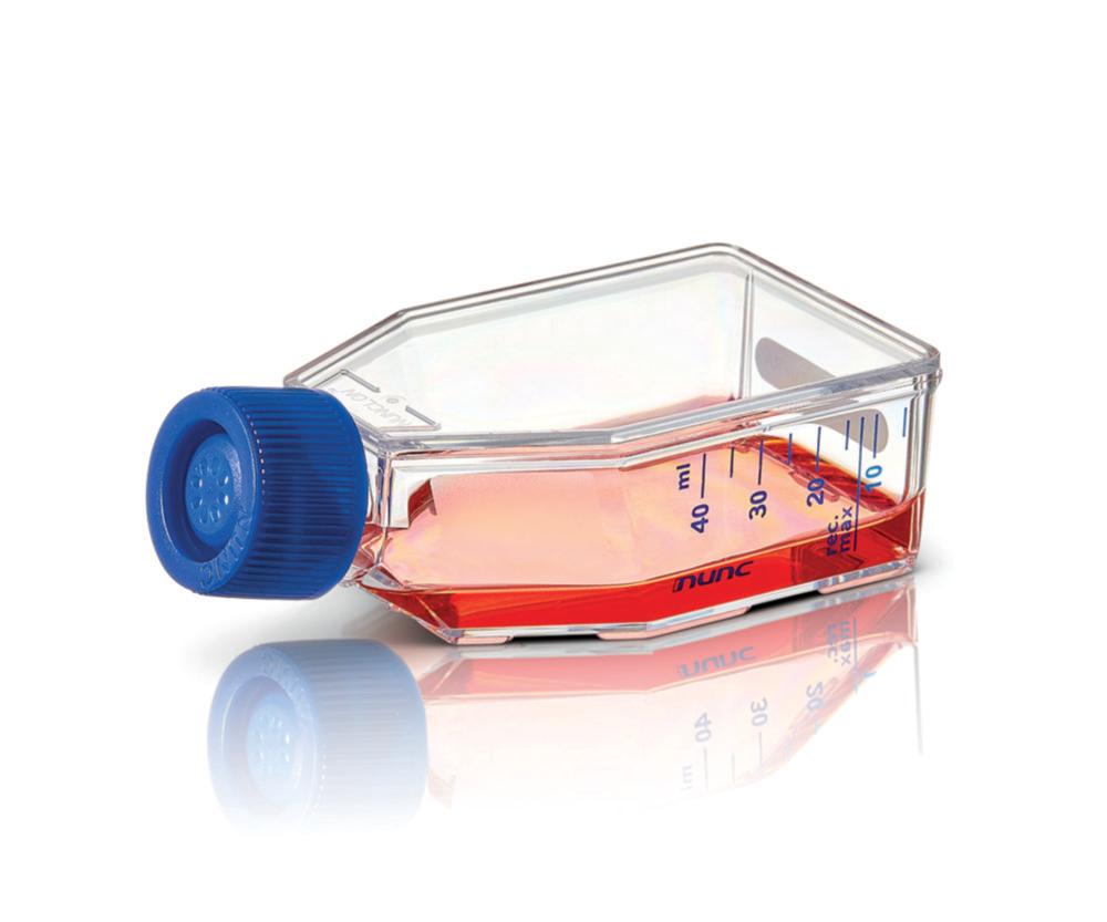 Thermo Nunc EasyFlask T25 Supra Filter ST, Pack of 200