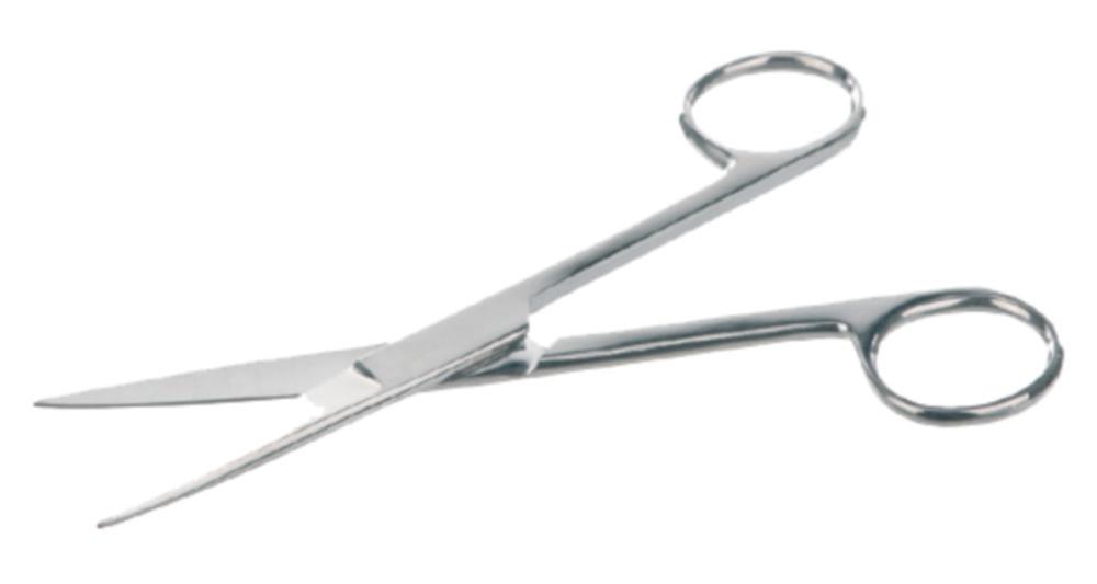 Bochem Instrumente Stainless Steel Scissors, Straight, Pointed, 130 mm in Length