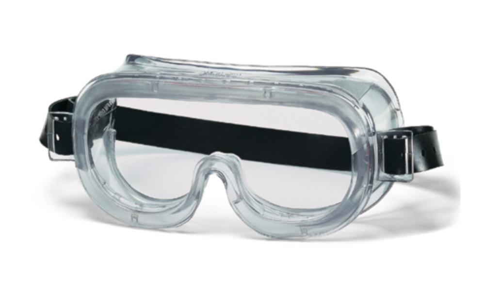Uvex Panoramic Goggles 9305 Grey/Transparent, Glasses Colorless

