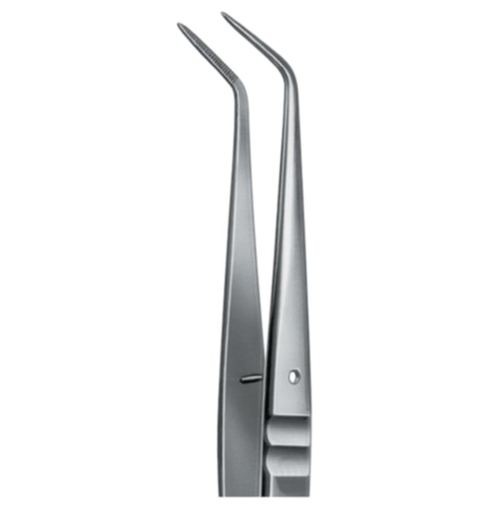Karl Hammacher Staining Forceps CrNi Steel Serrated Tips Length 150 mm

