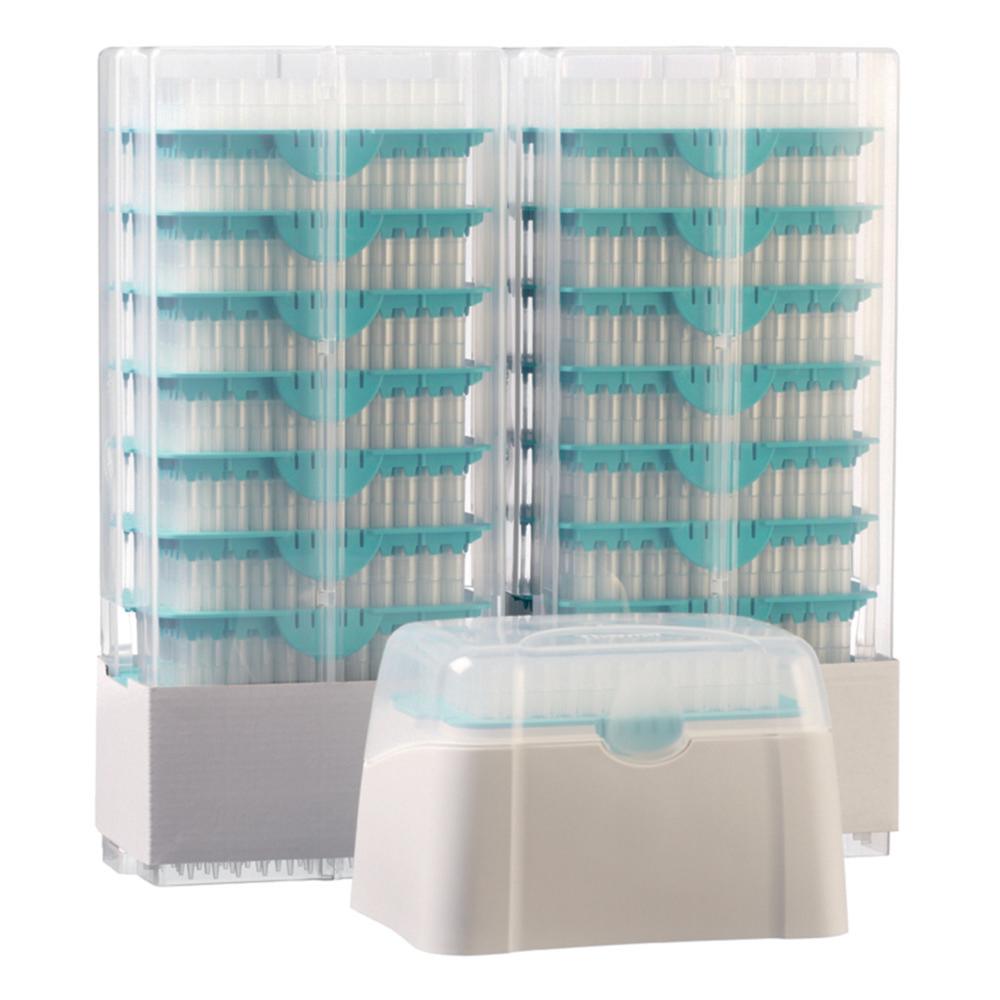 Thermo Finn FinnTips Flex 10 0.2-10 µL (Pack of 1000)