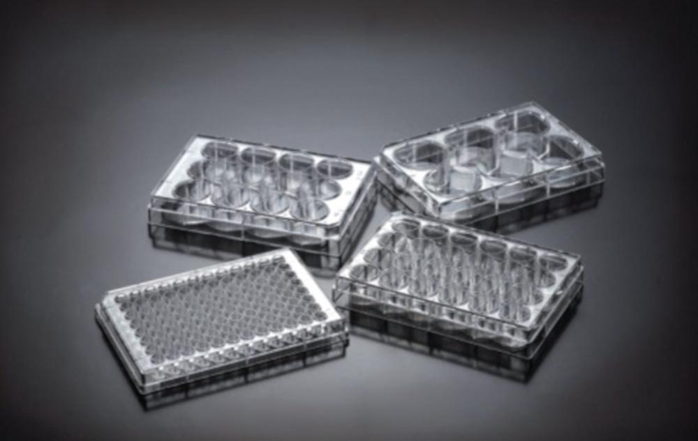 Guangzhou Tissue Culture Plates, 6-Well, PS, 10.0 cm Treated, Sterile, Pack of 100
