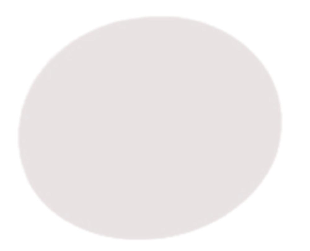 LLG Septa N-9 PTFE Virginal White, Hardness 53 Shore D, Thickness 0.25 mm, Pack of 100