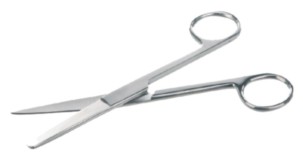 BOCHEM Scissors Stainless Steel, Straight, Pointed/Blunt, Length 130 mm