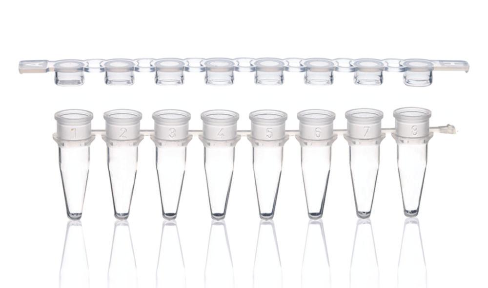 BRAND Strips 8 PCR Tubes PP Clear with Cap, Strips Flat, Pack of 250