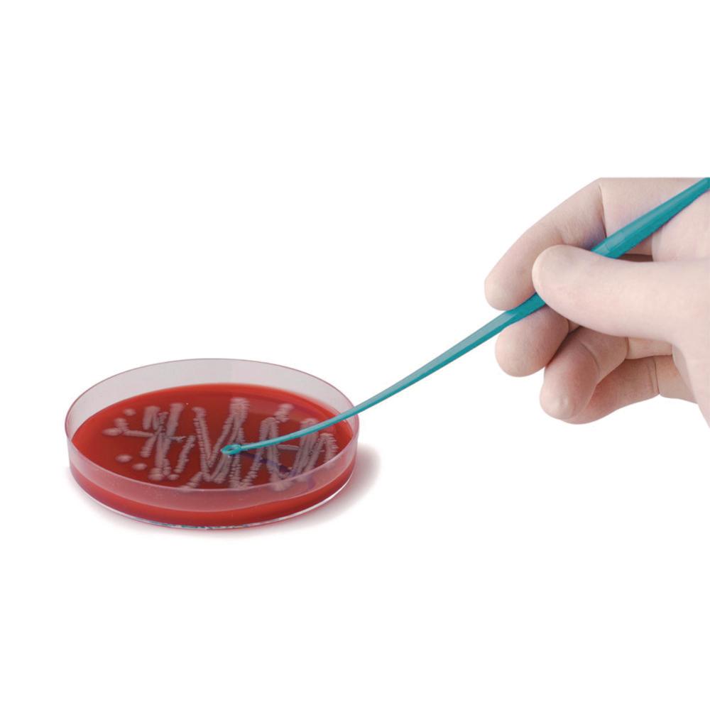 LLG Inoculation Loop PS, Sterile, One End Needle, One End Loop, 10 µL, Pack of 10