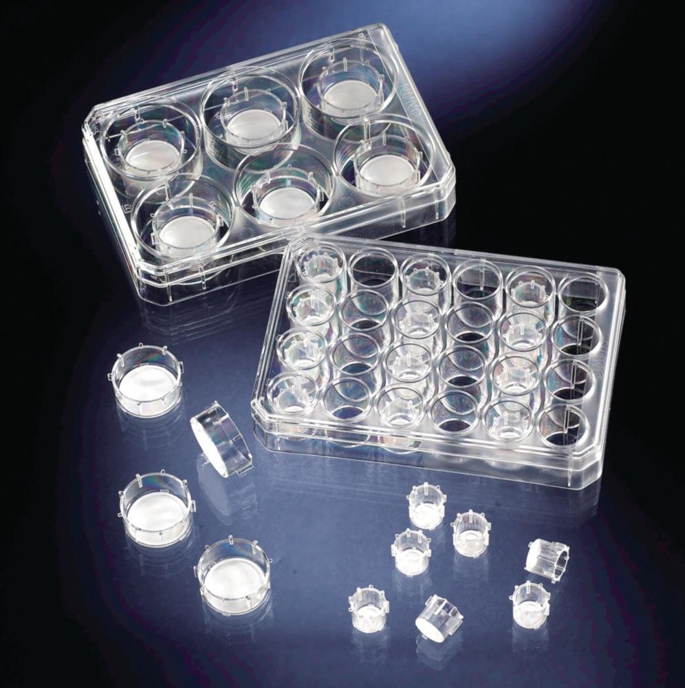 Thermo Nunc CC Insert MD24-0.4 Dim 8/13 mm PC SI (Pack of 48)