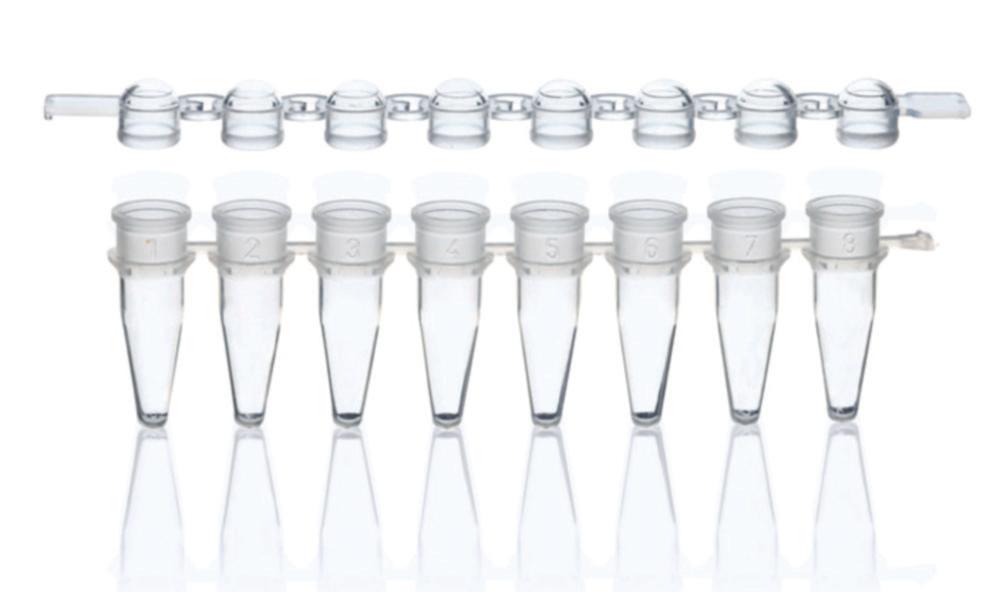 BRAND Strips 8 PCR Tubes, PP, Clear with Cap Strips, Domed, Pack of 250