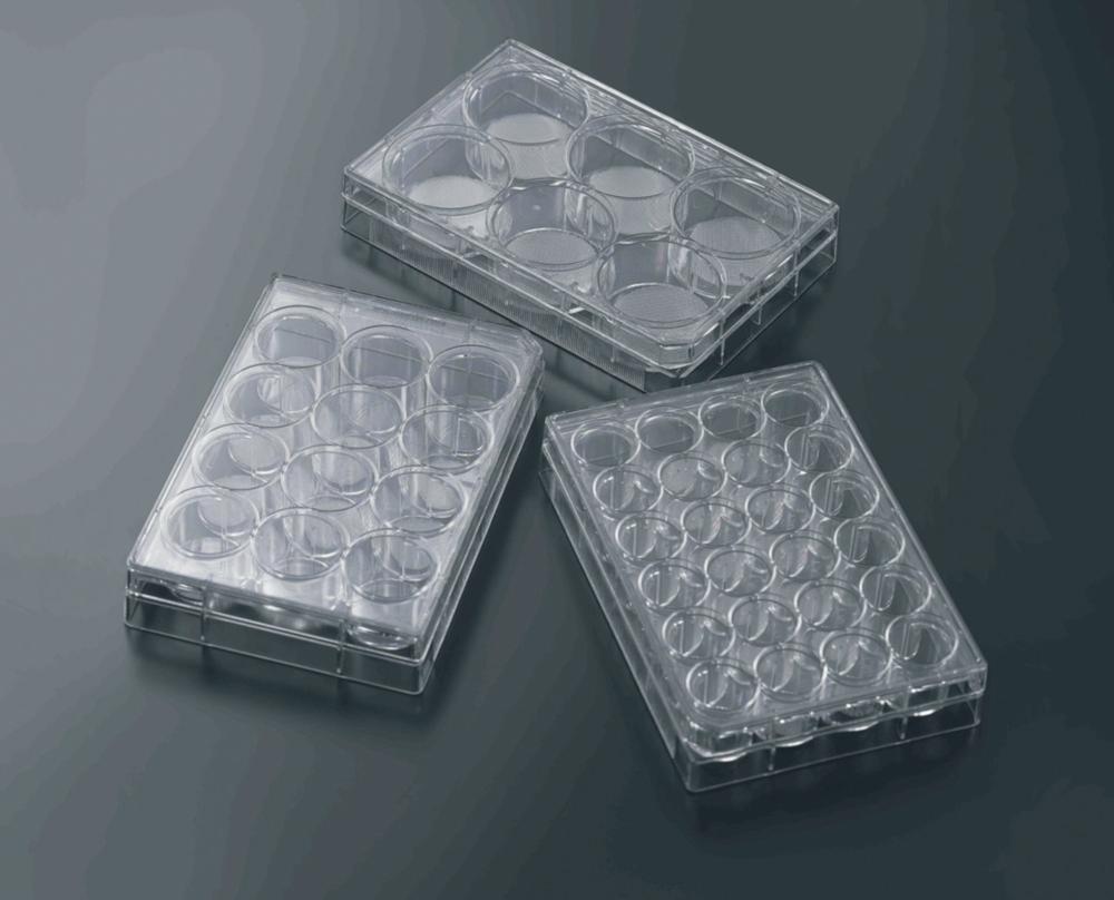 Jet Bio Filtration 3D Cell Culture Plate CellSCAFLD 21,0x1,6mm Pack of 8