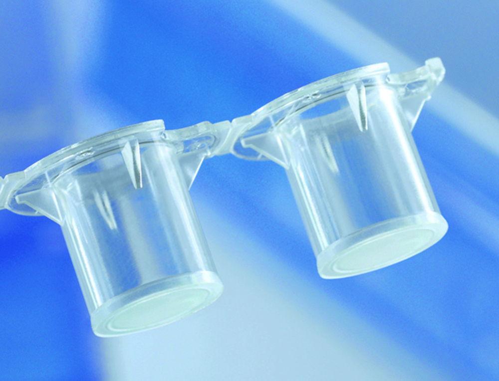 BRAND Insert Strips of 4 BRANDplates PS, cellGrade plus Surface, Even Walls, Sterile, PET Membrane, 0.4µm, Pack of 12