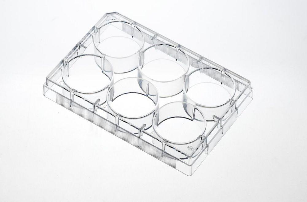 Guangzhou Tissue Culture Plates, 6-Well, PS, 10.0 cm Treated, Sterile, Pack of 100