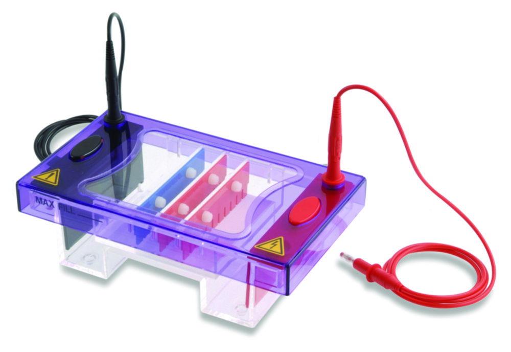 Thistle Scientific MultiSub Midi (100x70, 100x100 mm, 2 Combs with 16 Samples Loading Guides & Casting Dams)