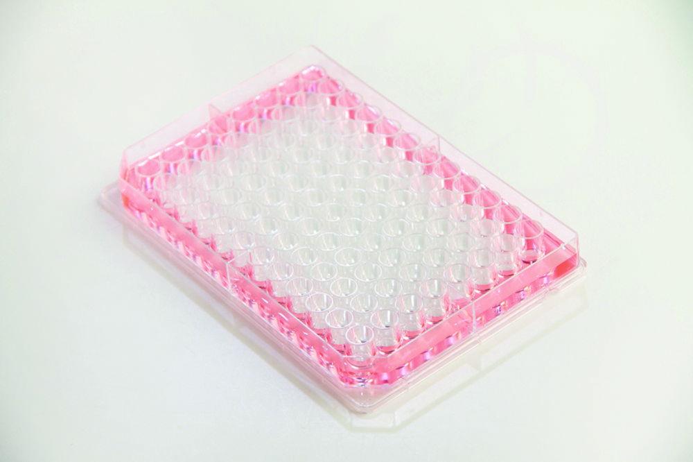 Thermo Nunc Edge 2.0 96-Well Flat-Bottom Microplates, Clear, Sterile, with Lid, Non-Treated, Bulk Pack of 10x16