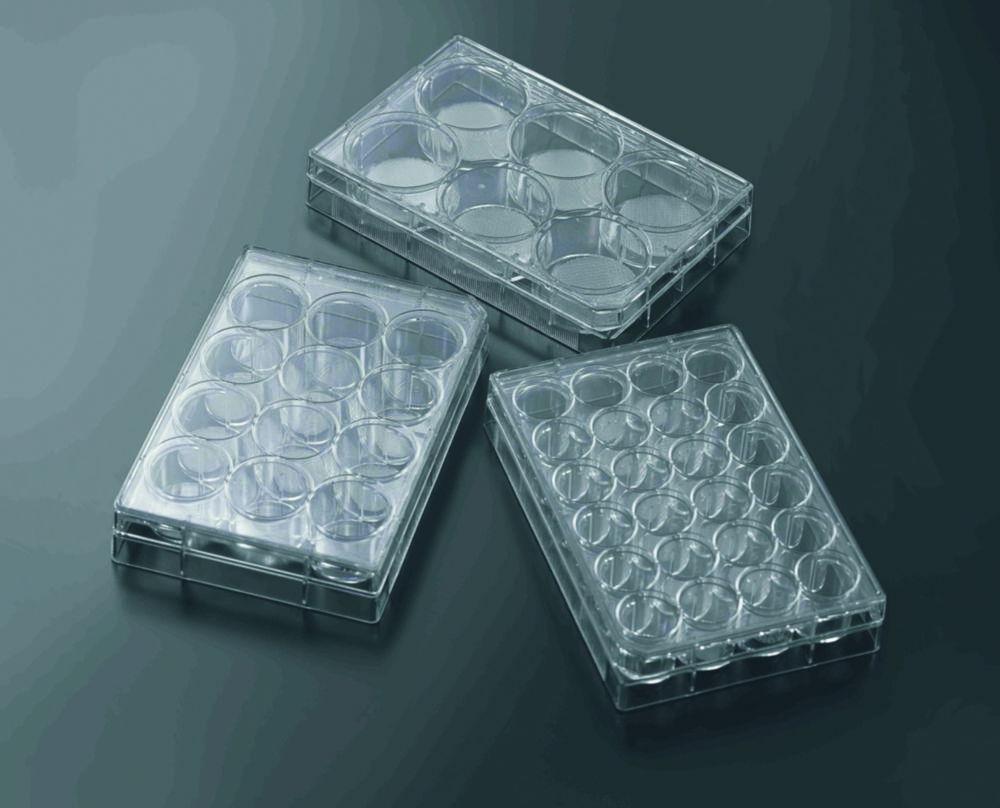 Jet Bio Filtration 3D Cell Culture Plate CellSCAFLD 15,0x1,6mm Pack of 8