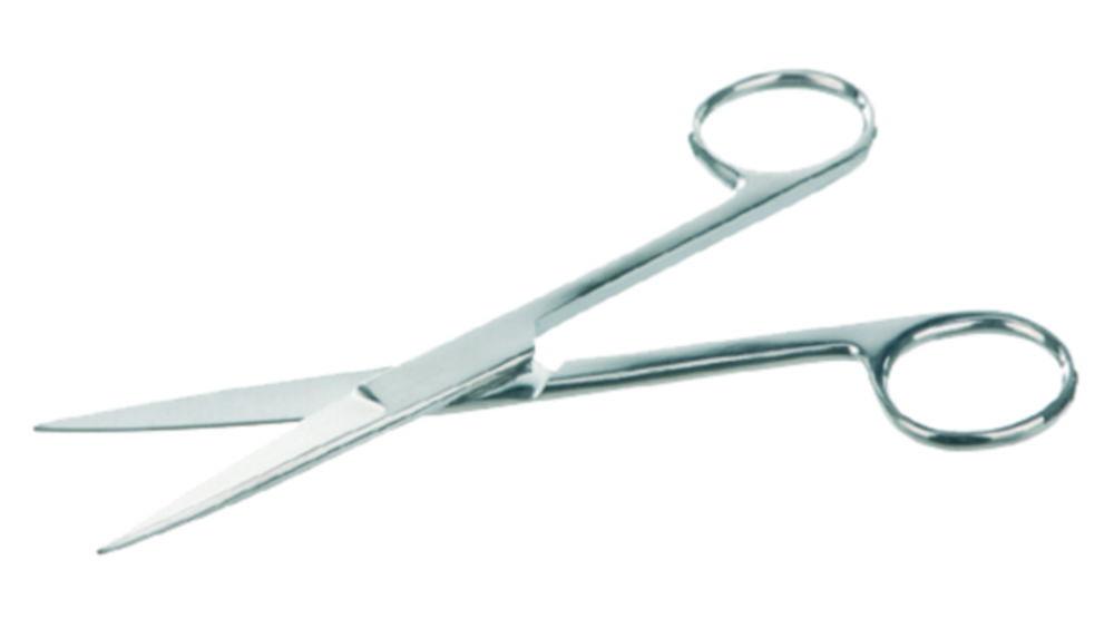 BOCHEM Scissors, Stainless Steel, Straight, Blunt/Blunt, Length 160 mm