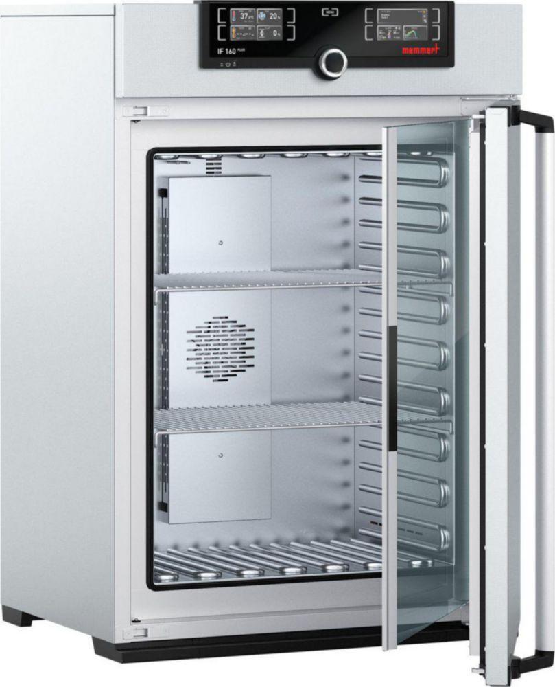Memmert IF160plus Incubator +20...+80°C, 161 Ltr., Laboured Air Circulation with TwinDISPLAY