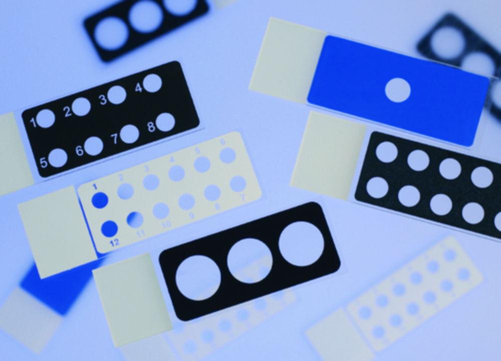 Epredia Diagnostic Slides 25x75x1 mm, 12 Cavities 5 mm, Epoxy White – Pack of 100
