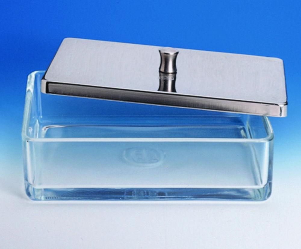 Hecht Instrument Tray, Glass 120x60x40 mm Without Cover

