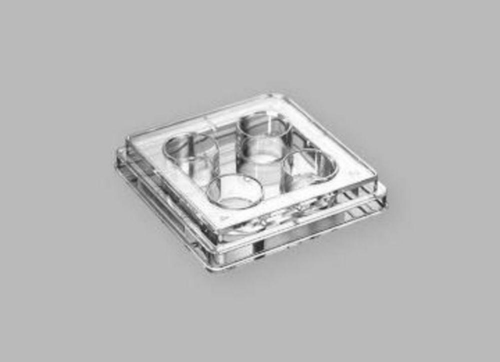 Jet Bio Filtration Tissue Culture Plates 4-Well PS 1.96cm Non-Treated, Sterile, General Type for Proliferation Pack of 100