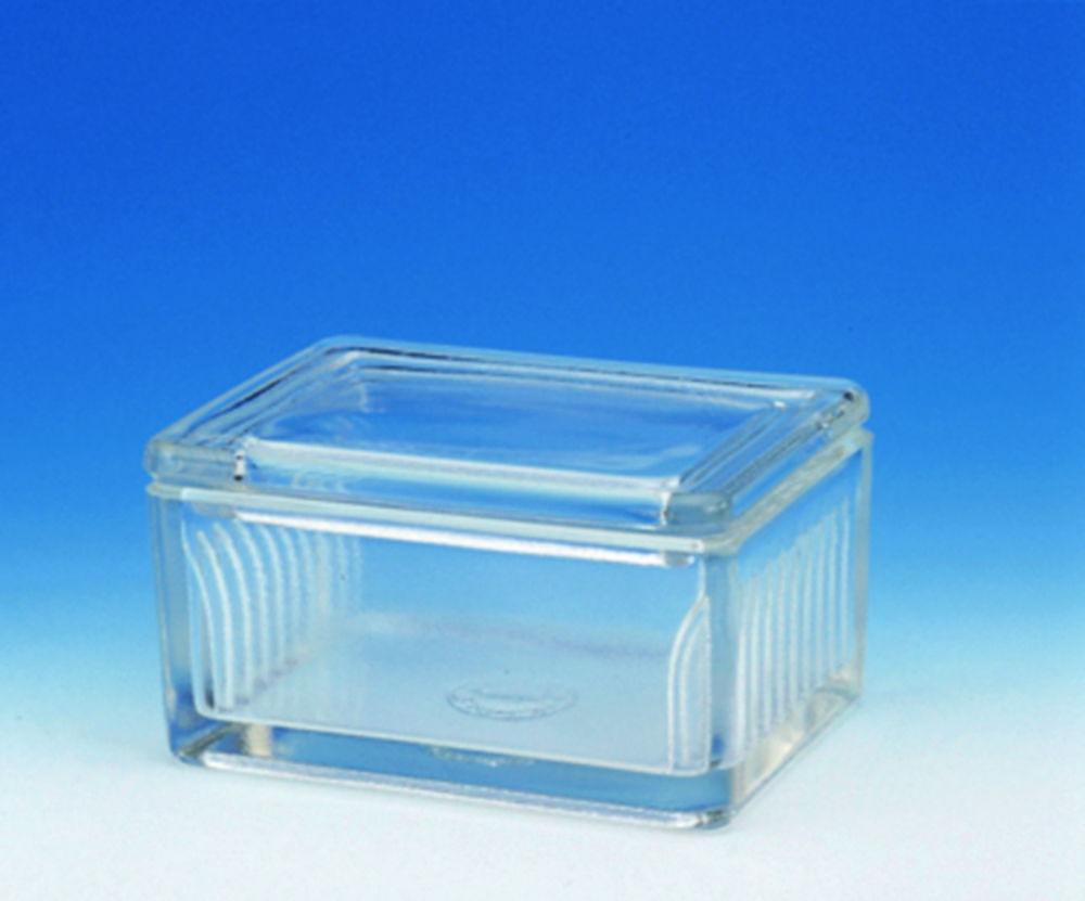 Hecht Staining Troughs, Glass, Schiefferdecker, for 10 Slides

