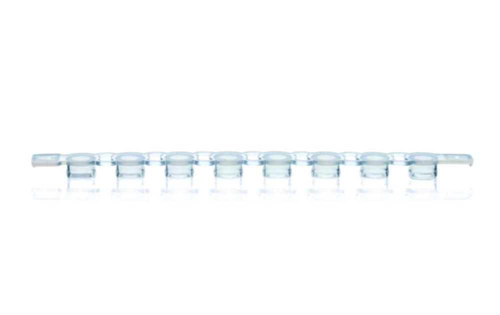 BRAND PCR Cap PP Clear 8 Strips Flat for PCR Tubes, Pack of 125
