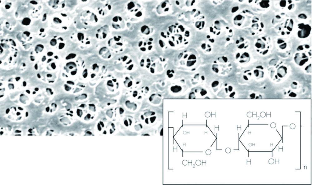 Sartorius Membrane Filters 18407-47 N, Pack of 100