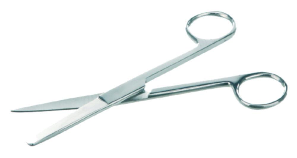 BOCHEM Scissors Stainless Steel, Straight, Pointed/Blunt, Length 130 mm
