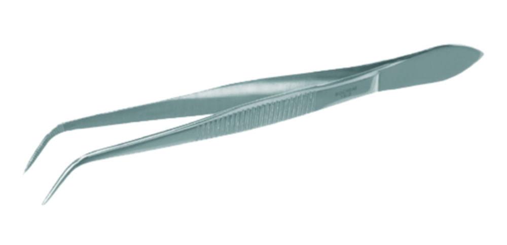 BOCHEM Forceps 115 mm, Rounded Bent, Stainless Steel