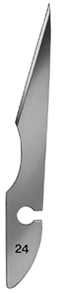 C. Bruno Bayha Scalpel Blades Type 24 Non-Sterile (Pack of 12)