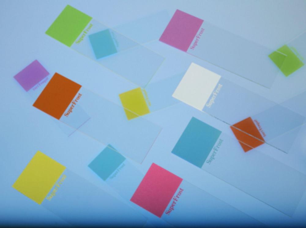 Epredia Superfrost-OT Microscope Slides 76x26 mm, 1.0 mm Ground Edges, 45° White (Pack of 50)