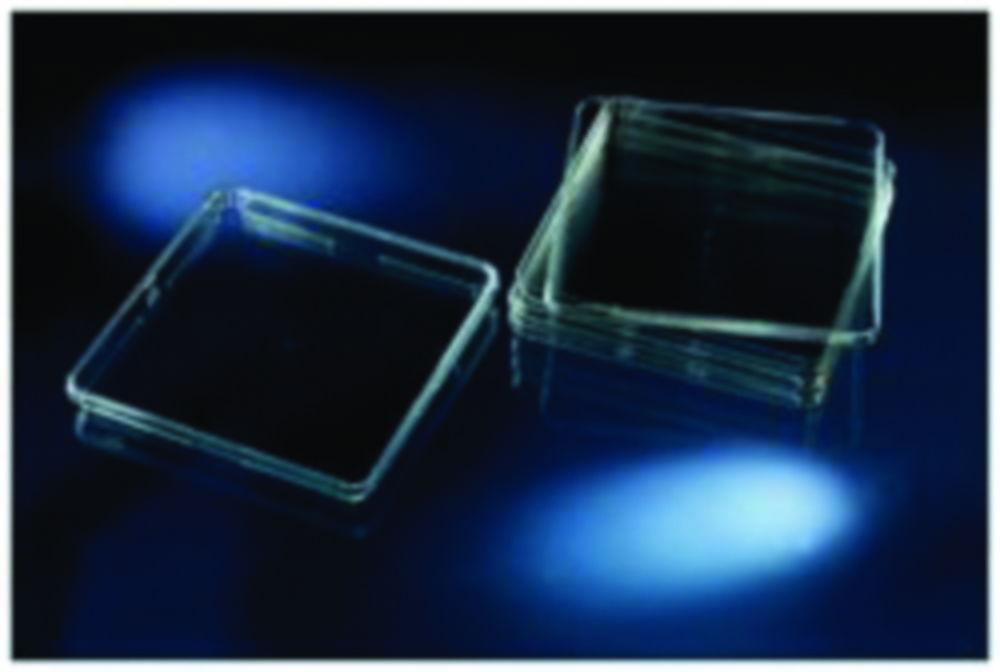 Thermo Nunc Biological Test Dish 245x245x25mm PS 500 cm² Standard Height Sterile with Lid, Pack of 16